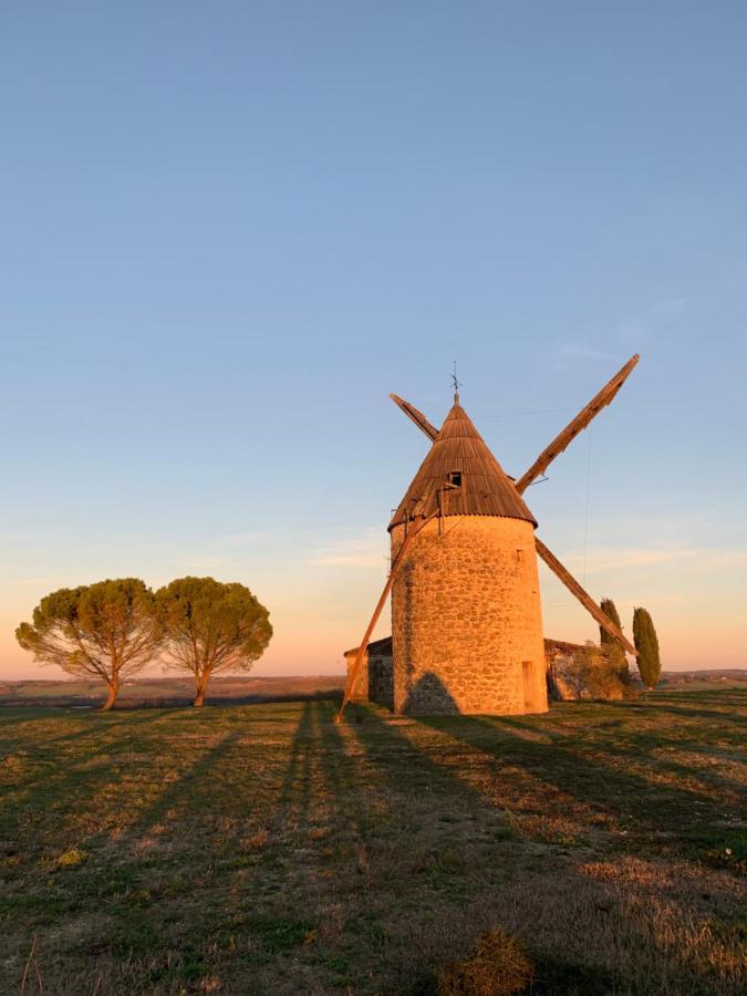 Villa Gite De Charme En Pleine Campagne. Havre De Paix Condom Exterior foto